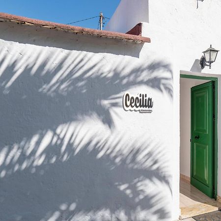 Estancia Cecilia La Orotava Eksteriør billede